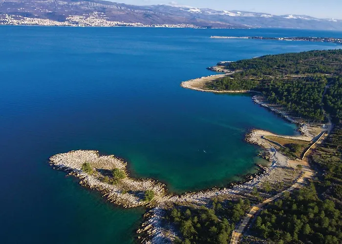 4 Bedroom Pet Friendly In